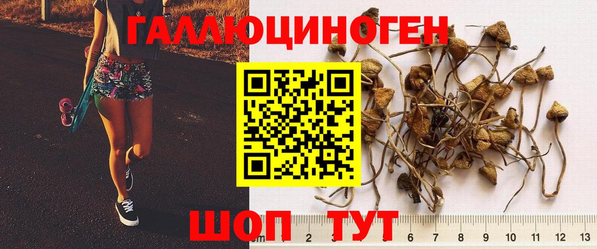 Реж  Галлюциногенные грибы MAGIC MUSHROOMS  Вход с VPN 